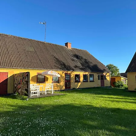 Cozy, Older On Aero * Søby